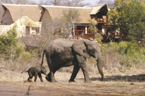 Отель Elephant Plains Game Lodge  Sabie Park